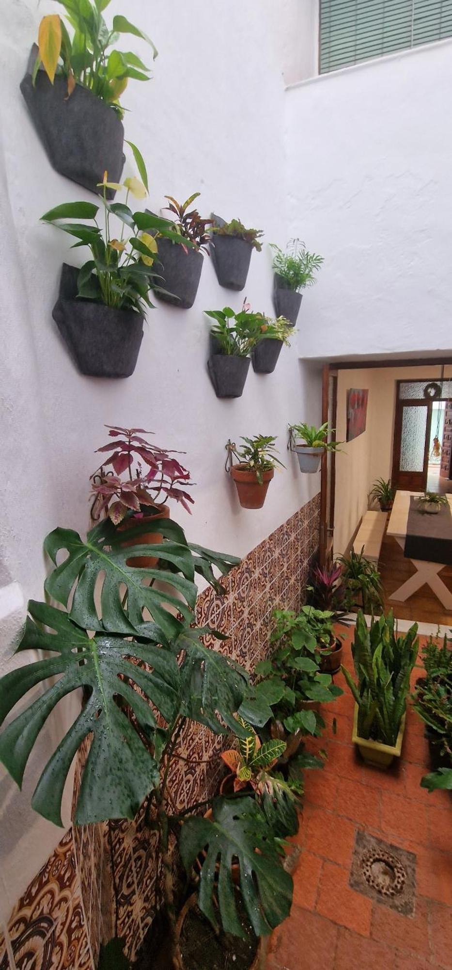 La Casa De Abuela Habitaciones Con Bano Compartido En El Casco Historico De Frigiliana "Solo Adultos" المظهر الخارجي الصورة
